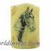 StarHollowCandleCo Horse Graphic Unscented Flameless Candle SHCC2202